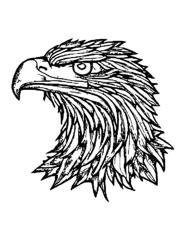 Artistic T-Shirt Designs Bundle